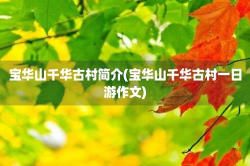 宝华山千华古村简介(宝华山千华古村一日游作文)