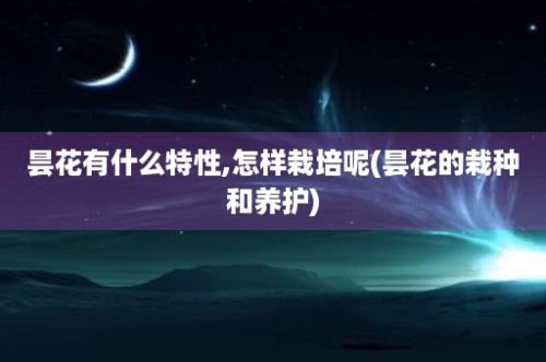 昙花有什么特性,怎样栽培呢(昙花的栽种和养护)