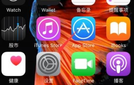 苹果手机怎么调字体大小