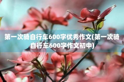 第一次骑自行车600字优秀作文(第一次骑自行车600字作文初中)