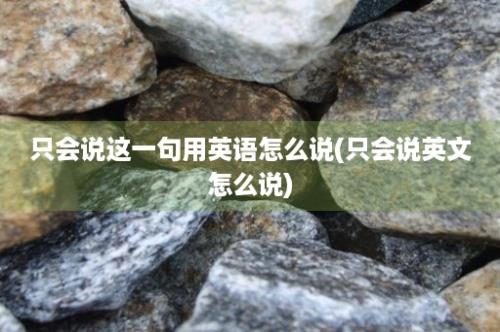 只会说这一句用英语怎么说(只会说英文怎么说)