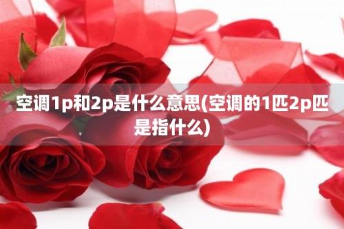 空调1p和2p是什么意思(空调的1匹2p匹是指什么)