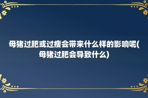 母猪过肥或过瘦会带来什么样的影响呢(母猪过肥会导致什么)