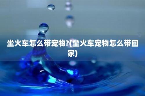 坐火车怎么带宠物?(坐火车宠物怎么带回家)