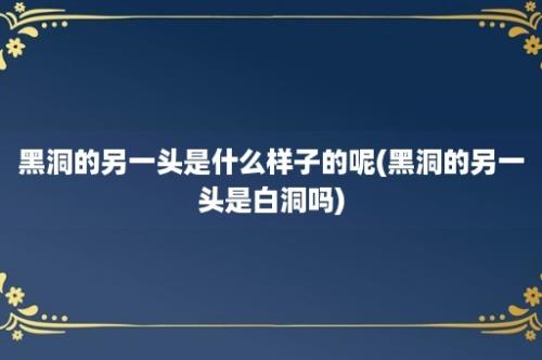 黑洞的另一头是什么样子的呢(黑洞的另一头是白洞吗)