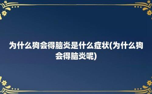 为什么狗会得脑炎是什么症状(为什么狗会得脑炎呢)