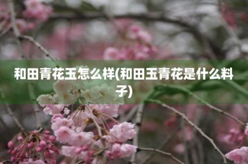 和田青花玉怎么样(和田玉青花是什么料子)