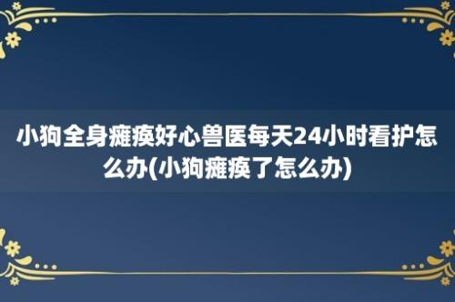 小狗全身瘫痪好心兽医每天24小时看护怎么办(小狗瘫痪了怎么办)