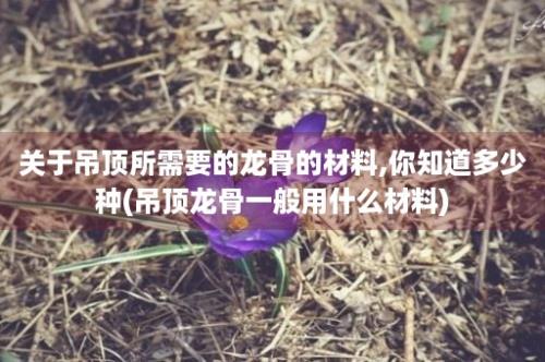 关于吊顶所需要的龙骨的材料,你知道多少种(吊顶龙骨一般用什么材料)