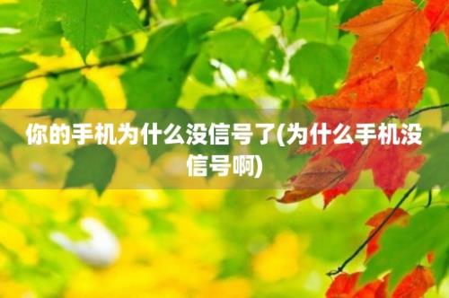 你的手机为什么没信号了(为什么手机没信号啊)