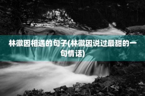 林徽因相遇的句子(林徽因说过最甜的一句情话)