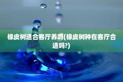 橡皮树适合客厅养吗(橡皮树种在客厅合适吗?)