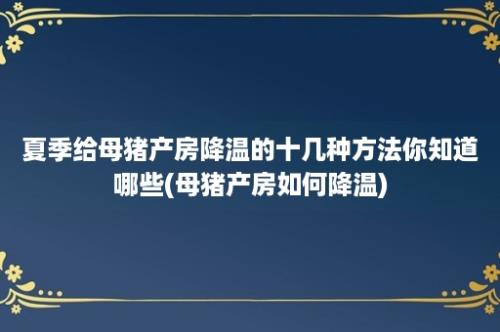 夏季给母猪产房降温的十几种方法你知道哪些(母猪产房如何降温)