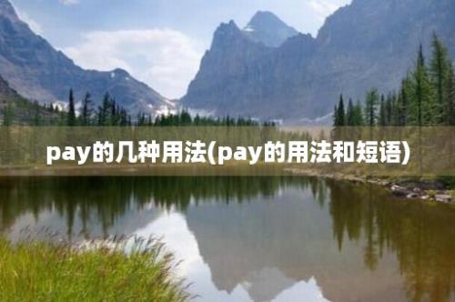 pay的几种用法(pay的用法和短语)