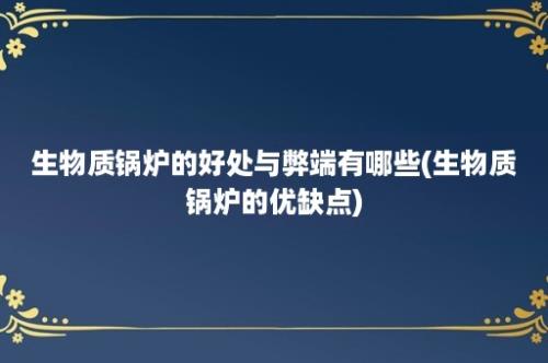 生物质锅炉的好处与弊端有哪些(生物质锅炉的优缺点)