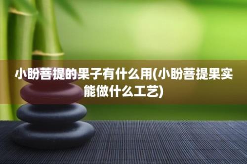 小盼菩提的果子有什么用(小盼菩提果实能做什么工艺)