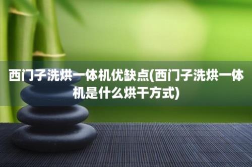 西门子洗烘一体机优缺点(西门子洗烘一体机是什么烘干方式)