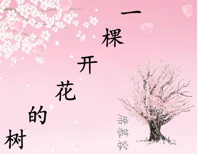 《一棵开花的树》是谁写的