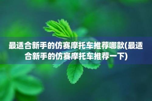 最适合新手的仿赛摩托车推荐哪款(最适合新手的仿赛摩托车推荐一下)