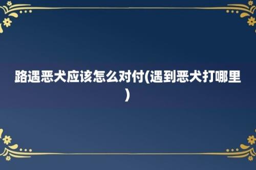 路遇恶犬应该怎么对付(遇到恶犬打哪里)