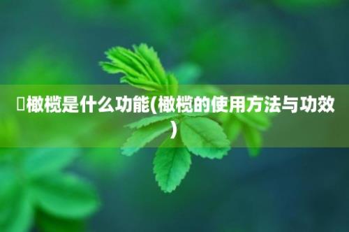 靑橄榄是什么功能(橄榄的使用方法与功效)