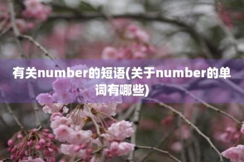 有关number的短语(关于number的单词有哪些)