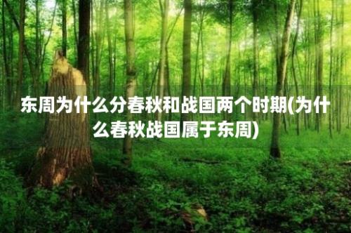 东周为什么分春秋和战国两个时期(为什么春秋战国属于东周)