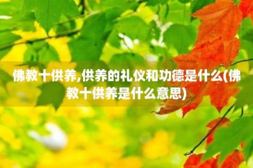 佛教十供养,供养的礼仪和功德是什么(佛教十供养是什么意思)