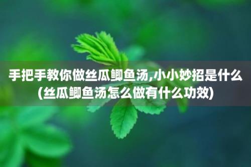 手把手教你做丝瓜鲫鱼汤,小小妙招是什么(丝瓜鲫鱼汤怎么做有什么功效)