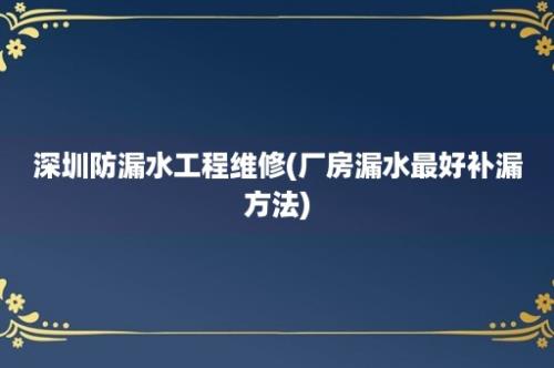 深圳防漏水工程维修(厂房漏水最好补漏方法)