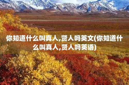 你知道什么叫真人,贤人吗英文(你知道什么叫真人,贤人吗英语)