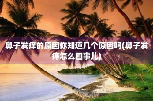 鼻子发痒的原因你知道几个原因吗(鼻子发痒怎么回事儿)