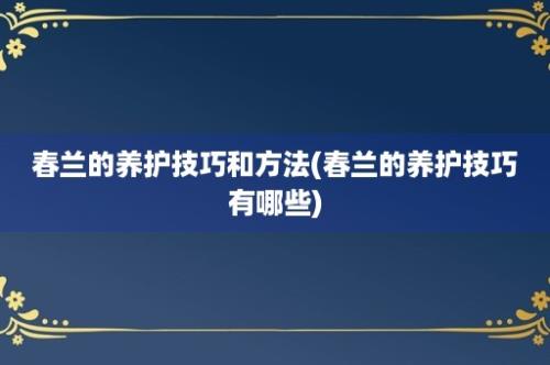 春兰的养护技巧和方法(春兰的养护技巧有哪些)