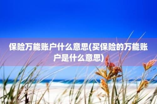 保险万能账户什么意思(买保险的万能账户是什么意思)