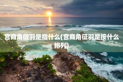 宫商角徵羽是指什么(宫商角征羽是按什么排列)