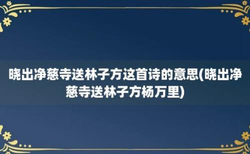 晓出净慈寺送林子方这首诗的意思(晓出净慈寺送林子方杨万里)