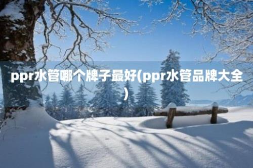 ppr水管哪个牌子最好(ppr水管品牌大全)