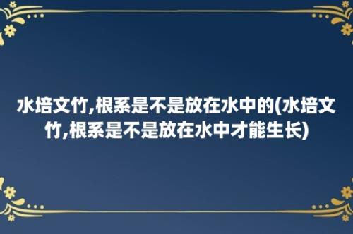 水培文竹,根系是不是放在水中的(水培文竹,根系是不是放在水中才能生长)