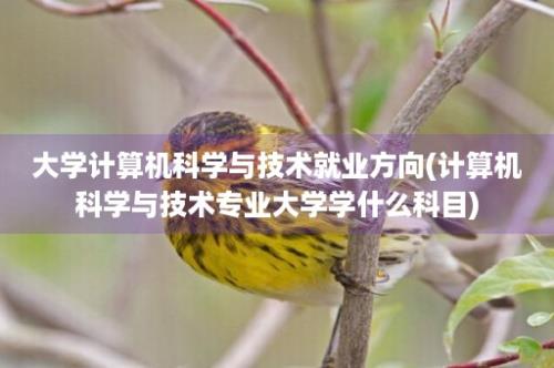 大学计算机科学与技术就业方向(计算机科学与技术专业大学学什么科目)