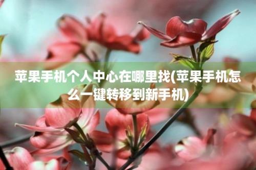 苹果手机个人中心在哪里找(苹果手机怎么一键转移到新手机)