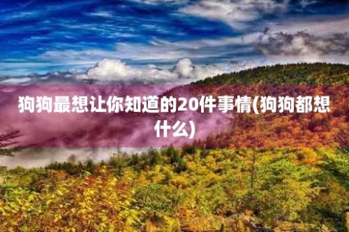 狗狗最想让你知道的20件事情(狗狗都想什么)