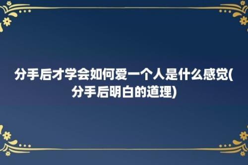 分手后才学会如何爱一个人是什么感觉(分手后明白的道理)