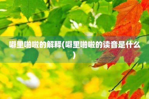 噼里啪啦的解释(噼里啪啦的读音是什么)