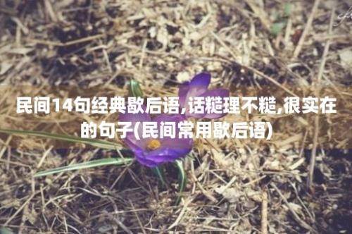 民间14句经典歇后语,话糙理不糙,很实在的句子(民间常用歇后语)