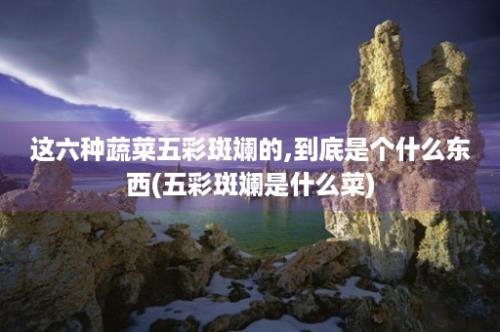 这六种蔬菜五彩斑斓的,到底是个什么东西(五彩斑斓是什么菜)