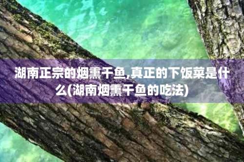 湖南正宗的烟熏干鱼,真正的下饭菜是什么(湖南烟熏干鱼的吃法)