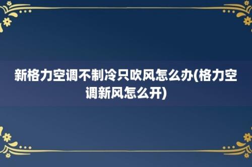 新格力空调不制冷只吹风怎么办(格力空调新风怎么开)