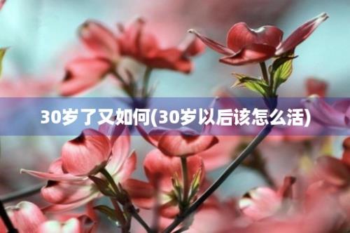 30岁了又如何(30岁以后该怎么活)