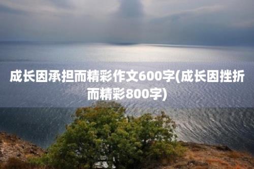 成长因承担而精彩作文600字(成长因挫折而精彩800字)