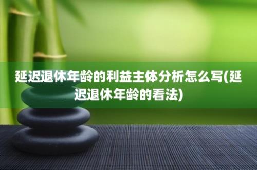 延迟退休年龄的利益主体分析怎么写(延迟退休年龄的看法)